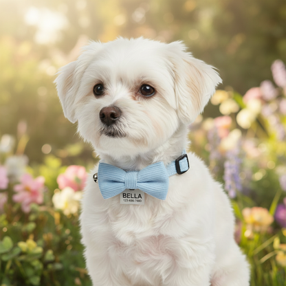 Personalized Adjustable Pet Bow Collar