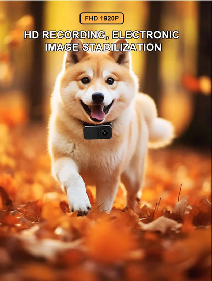 Portable Pet Collar Camera